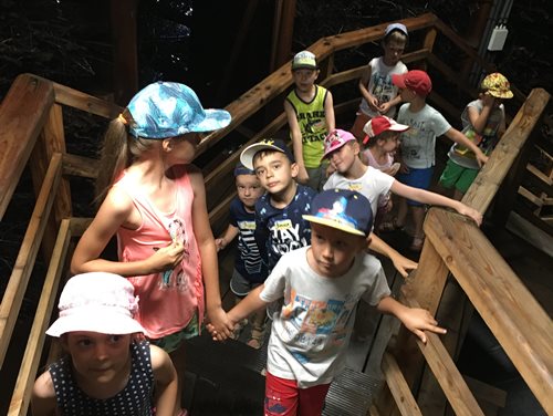 Półkolonie letnie z Kids` World 2017